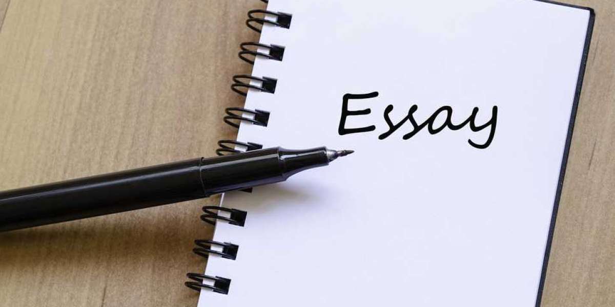 Mastering the Graduate Application Process
