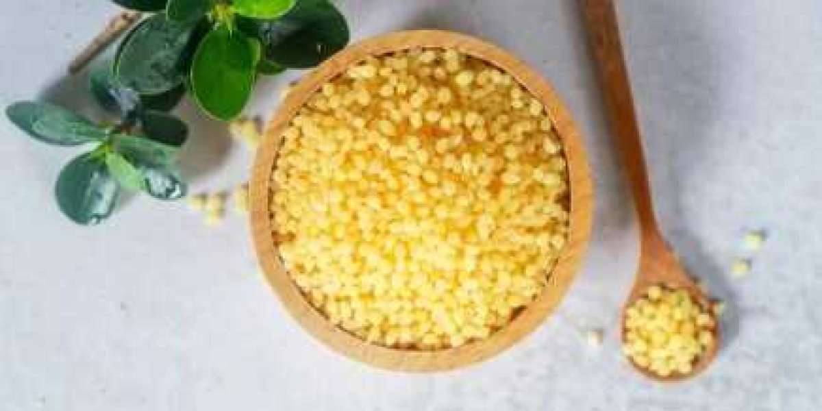 Latin America Candelilla Wax Market Revenue Analysis: Growth, Share, Value, Size, and Insights