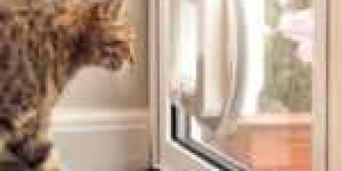 14 Questions You Might Be Refused To Ask Cat Flap Installer