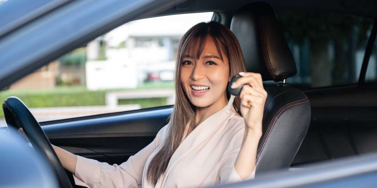 Guide To Online Uk Driving Licence: The Intermediate Guide The Steps To Online Uk Driving Licence