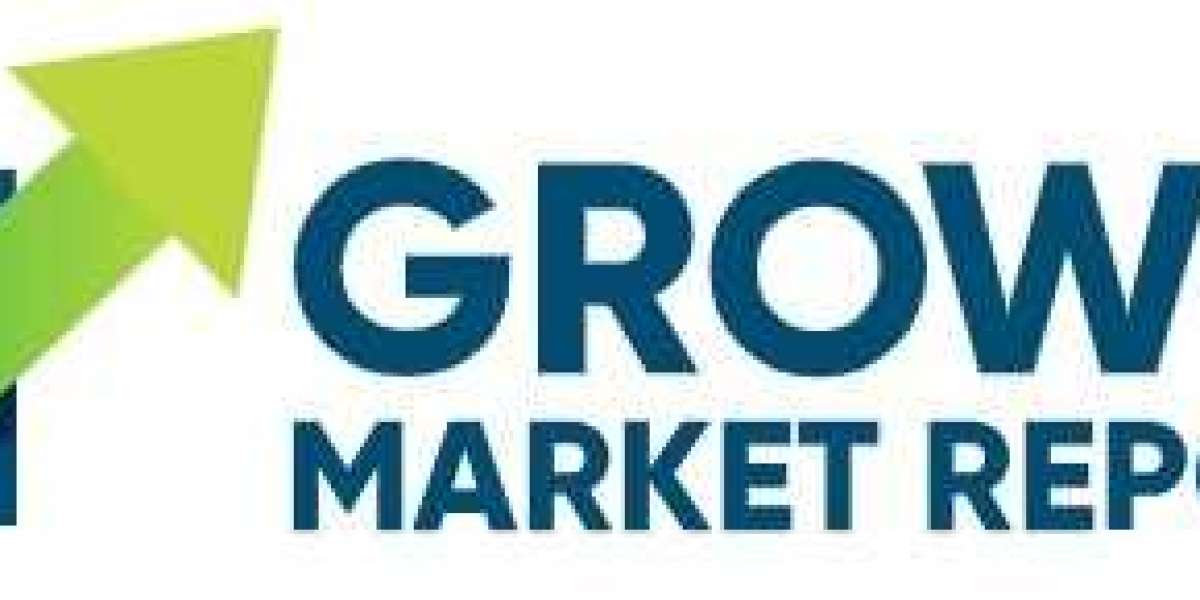 Smart Travel Infrastructure: Exploring the Airport Solar Charging Locker Market